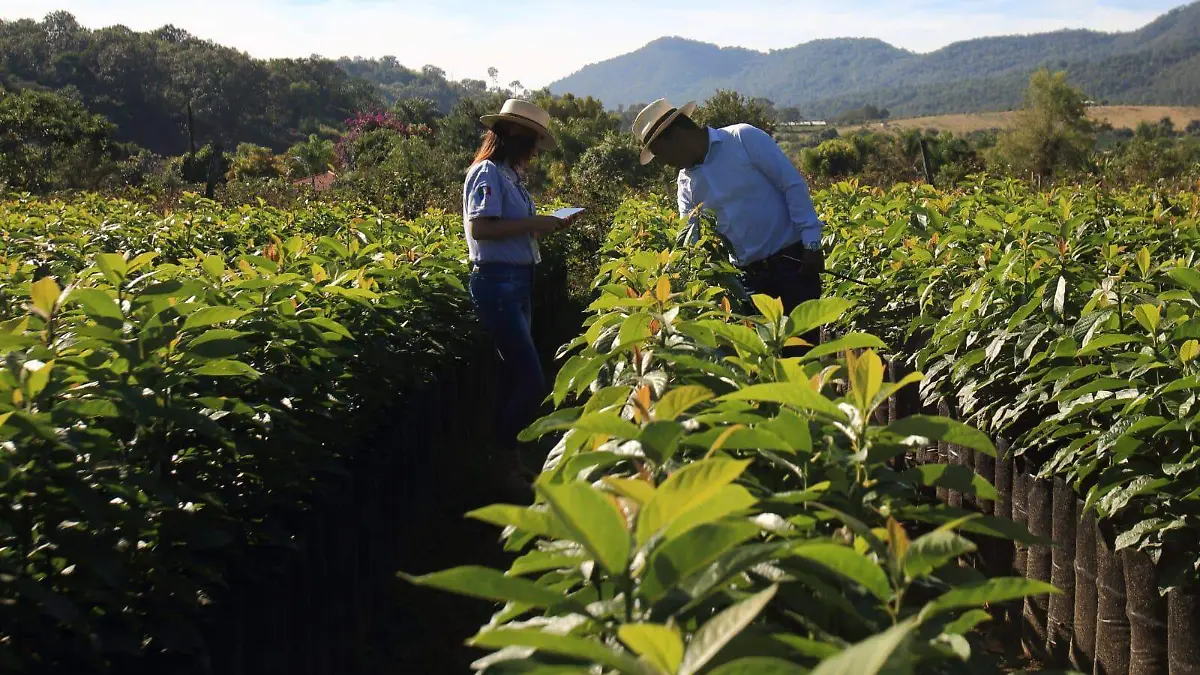 Trabajadores del Campo 1